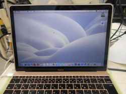 アップル(Mac) Macbook　A1534の修理-14